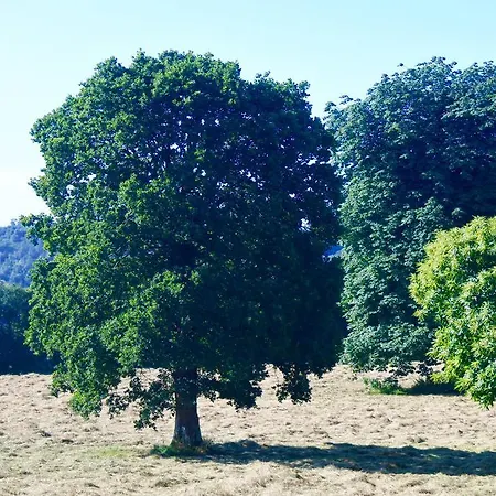 L'auberdiere Campeaux